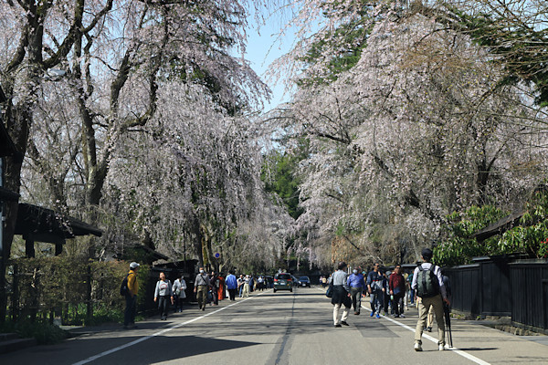 �p�ف^���Ɖ��~�ʂ�