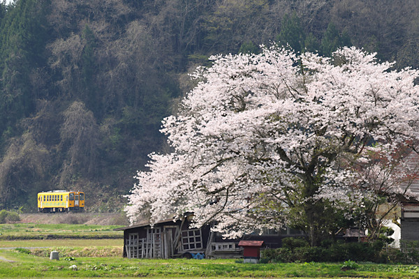 �����~�̍�