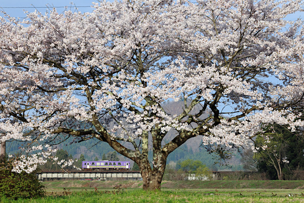 ���w�Z�Ղ̍�