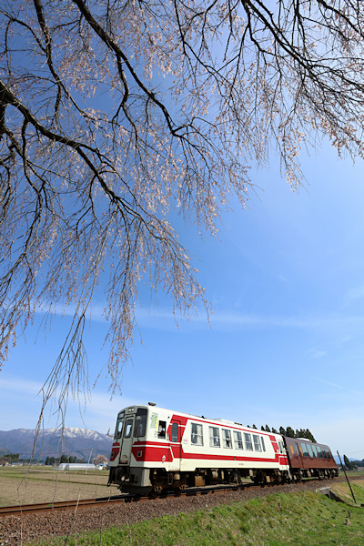 �H�㑾�c�w�̂������