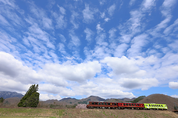 �H�㒷�˘C�`���t�^��ۓI�ȉ_